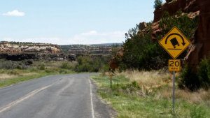 Looking back to Dead Man's Curve